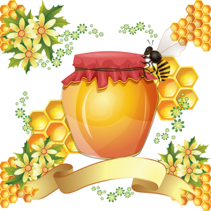 Honey PNG-86331